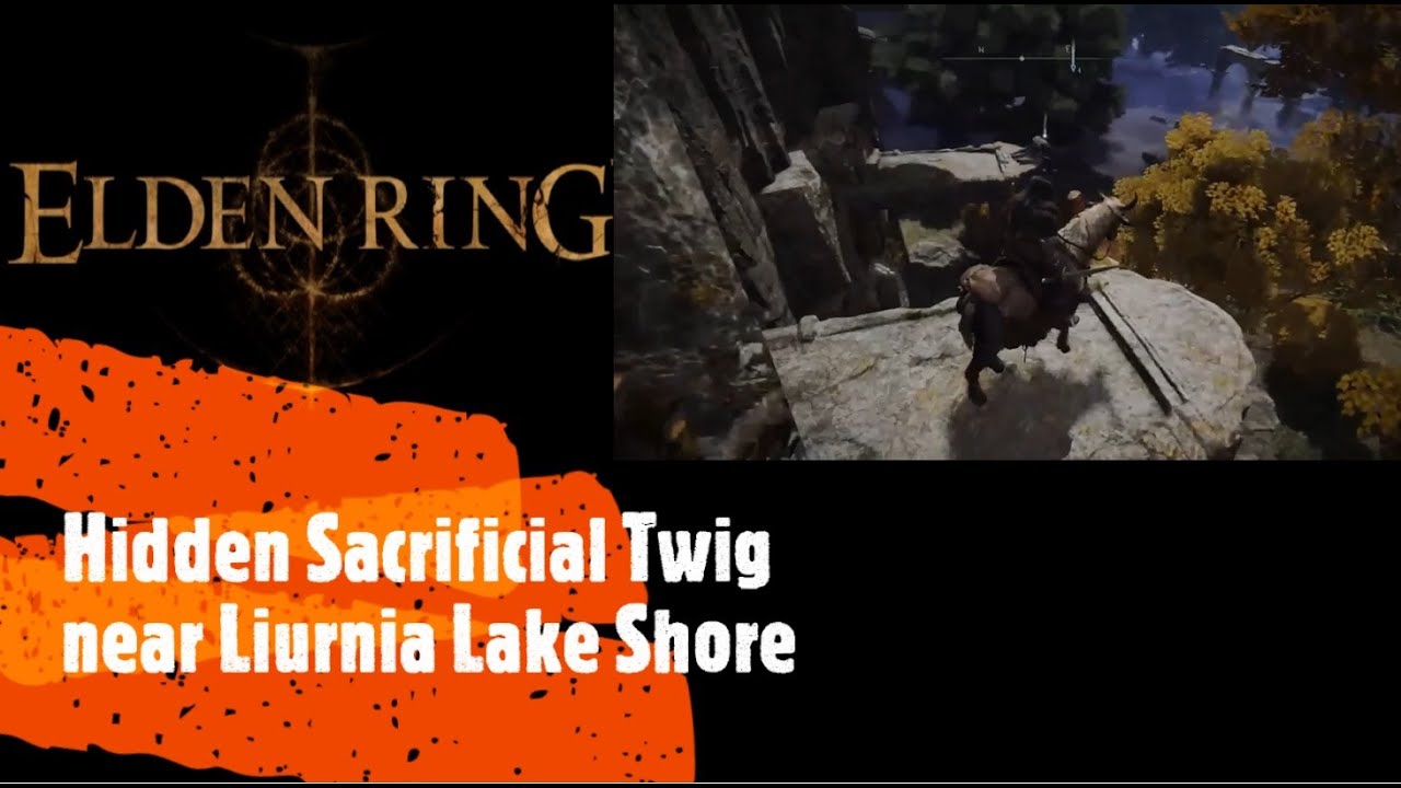 Elden Ring [Hidden Sacrificial Twig near Liurnia Lake Shore]