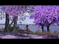 Relaxing piano music romantic music beautiful relaxing music sleep music stress relief 3 hours