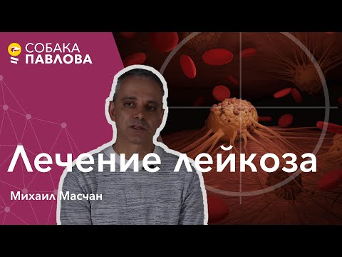 Лечение лейкоза - Михаил Масчан // химиотерапия, таргетная терапия, пересадка костного мозга