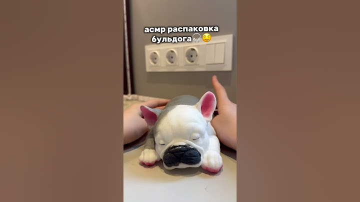 Арт ВБ на бульдога: 291953154 ❤️ #табалапка #сквиш #таба #балори #антистресс #сквиши #обзорывб