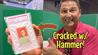 He owns 29 DIFFERENT Ty Cobb T206 Backs! Amazing Collection!