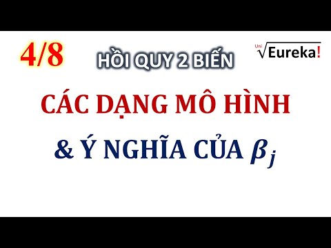 Video Kinh Tế Lượng Chương 1 P4/7 Các dạng mô hình Kinh tế... - youtube
