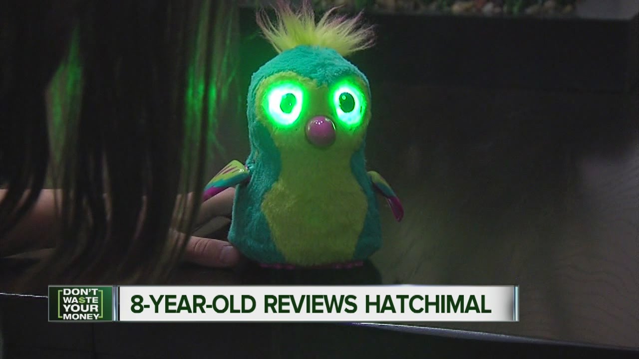 Are Hatchimals worth the money?