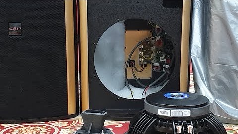 Loa Caf Cá Heo W12+.