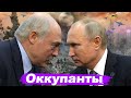 СПЕЦВЫПУСК | У Путина началась истерика / Как Соловьёв отреагировал на переговоры?