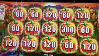 I WON The GRAND JACKPOT on a $15 BET AND KEPT GOING!!