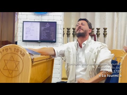 3MN DE TORAH POUR COMMENCER LA JOURNÉE - LA FOURMI 🐜