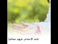 محمد المقيط