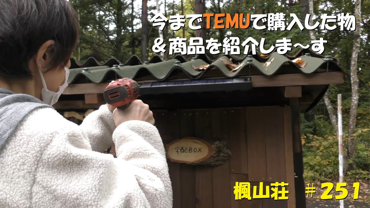 ＃２５１　今までTEMUで購入した物＆商品を紹介しま～す