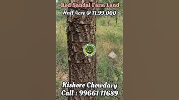 Half Acre @ 12 Lakhs #shorts #short #trending #youtubeshorts #shortsvideo #youtube #ytshorts #video