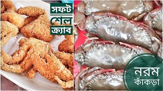 নরম কাঁকড়া | Soft Shell Crab | সুন্দরবন জীবন | সিজন ০৫ | পর্ব ১৮ | Sundarbans | Mohsin ul Hakim screenshot 5