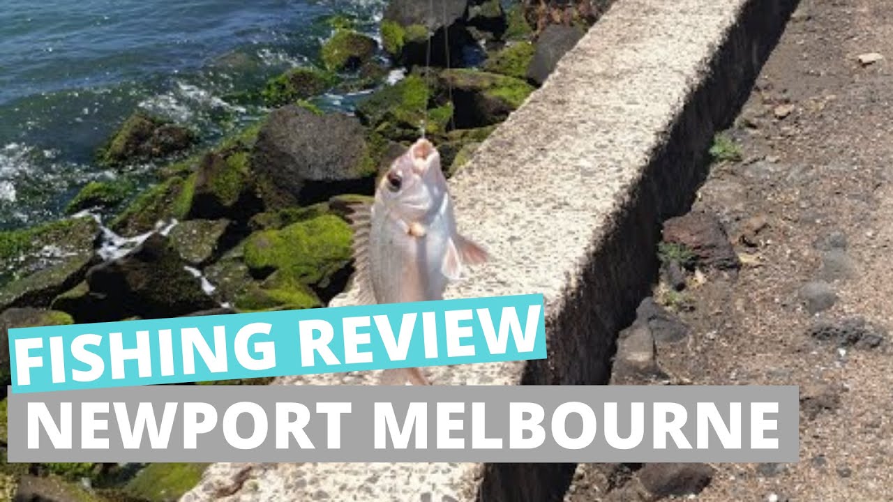 Fishing In Melbourne YouTube