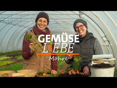 Video: Der Beste Weg, Um Karotten Zu Kaufen, Zuzubereiten Und Zu Lagern - HEUTE