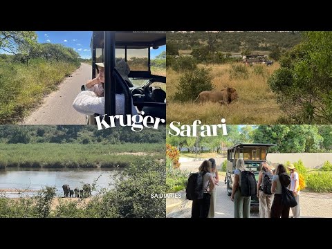 Experiencing Krüger National Park: SA diaries ♡