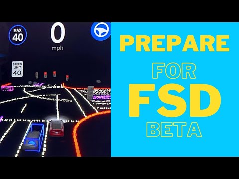 Video Preparing for Tesla FSDbeta