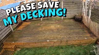 DECKING RESTORED! Pressure washed and scrubbed this green dirty decking back to its natural colour.