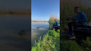 Pecanje sarana na jezeru Amur/Carp fishing on Lake Amur #shortvideo #fishing #carpfishing #viral Pecanje sarana na jezeru Amur/Carp fishing on Lake Amur #shortvideo #fishing #carpfishing #viral
