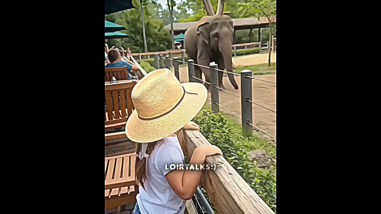 Elephant Save Little Girls Hat ☺️❤️‍🩹