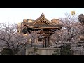 Япония. Храм, Сакура и Желание Японским Божествам