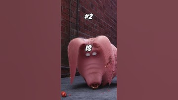 Did You Know These 5 Things About The Secret Life of Pets