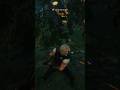 Unkillable Bandits in Novigrad #shorts #thewitcher3