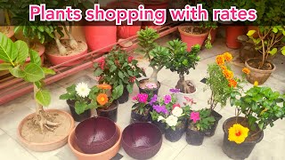 My new plants n planters shopping with price//winter plants//garden plants//houseplants
