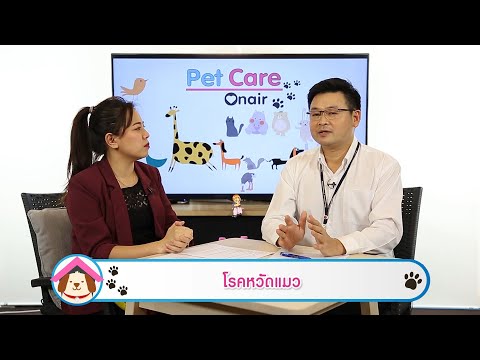 โรคหวัดแมว | รายการ pet care onair