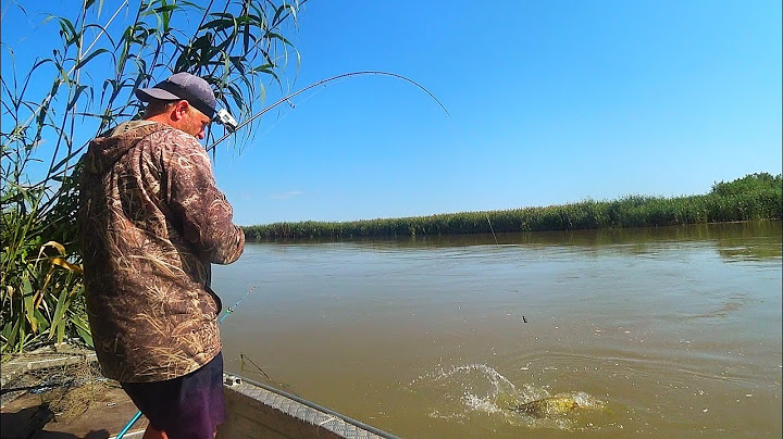 FISHING WITH A FROG, A WORM AND A CAKED CAKE. CATFISH AND CARP, CIRCLED AROUND THE FINGER. July a...