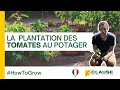 Tuto potager : Comment bien planter ses tomates au jardin ? - #HowToGrow | HM.CLAUSE