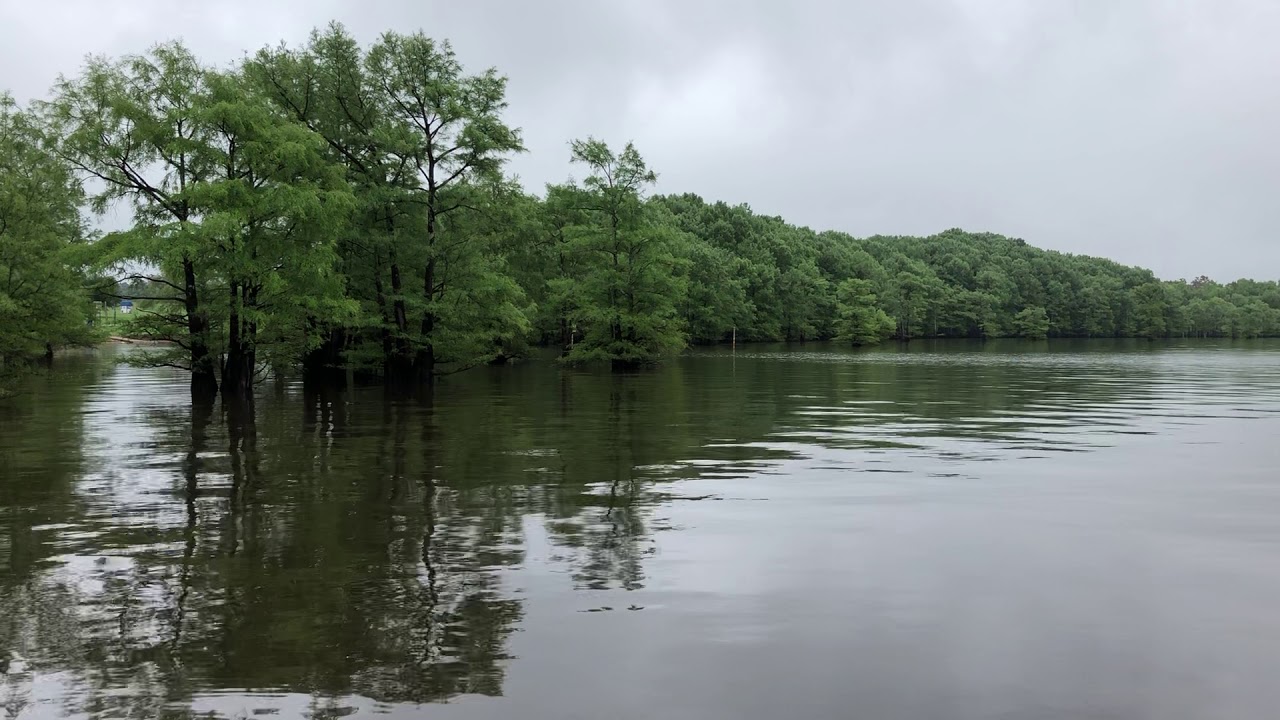 Oil City Park Caddo Lake LA YouTube