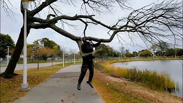 Crazy Tree — Enhanced by Grok xAI