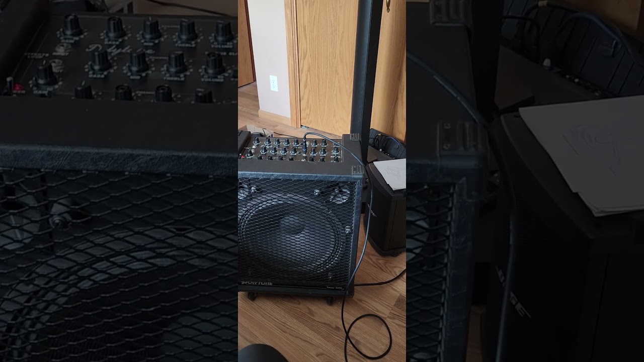 Polytone Taurus Elite Amp | Test for Auction