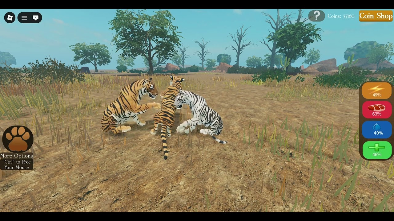 Tiger Gameplay| Wrath Of Nature: Arid Of Survival!| Roblox|