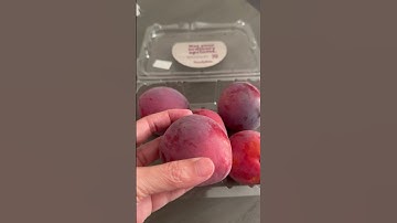 Apriums (Part Apricot/Part Plum) #shopwithme #new #shopping #traderjoes #fruits