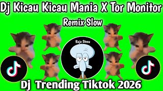 DJ KICAU MANIA X TOR MONITOR REMIX SLOW  BASS VIRAL TIKTOK TERBARU 2026 !!! 