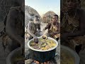 Hadzabe Fresh Hot Food Sharing #Hadzabe #Asmr #Africa #Eating #Shorts #ShortsFeed #mukbang