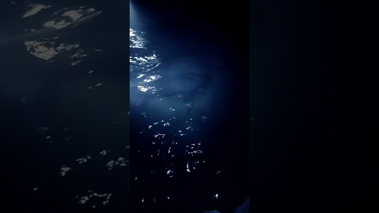 Sons of the Forest Caves are Terrifying!!!  🦈😨 