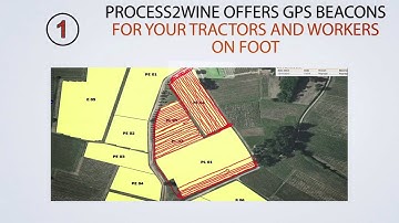 Process2Wine : wine industry software