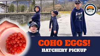 We Picked Up 150 Coho Salmon Eggs! | Salmon Life Cycle Project