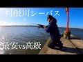 日本三大河川「利根川」でランカーシーバスを狙え【茨城県】