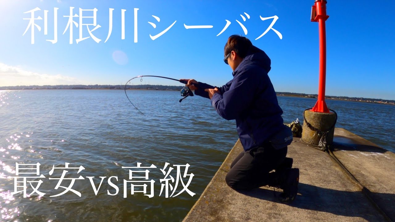 日本三大河川「利根川」でランカーシーバスを狙え【茨城県】