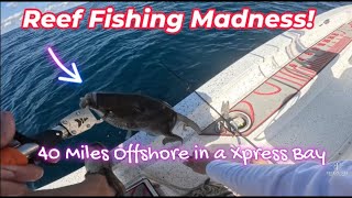 40 Miles Offshore in a Bay Boat!  Mississippi FH7 Reef Fishing for Triggerfish, Snapper & Amberjack