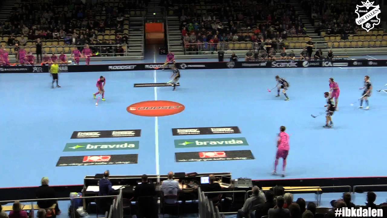 151125 Dalen Falun målsummering