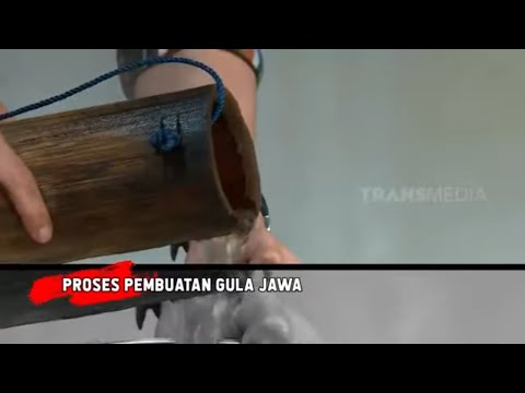Gula Jawa Papua