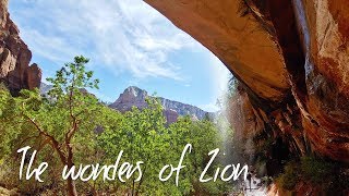 Zion National Park day two - Full-time Family RV Travel