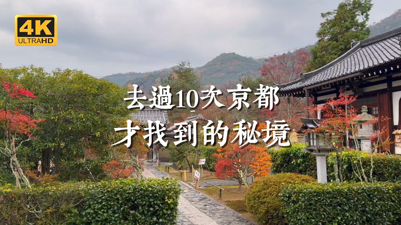 【京都一人旅 EP62】去過10次京都,我反而更喜歡這4個安靜小眾的地方|長樂寺、寶嚴院、寶筐院、相國寺周圍 縮圖