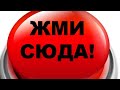 👈ЖМИ СЮДА👈Скотовоз, перевозка лошадей, обучение лошадей, продажа и обмен🤝😎