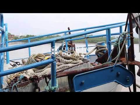 Pesca De Lula