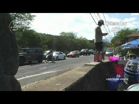 Waimea Bay - LIVE