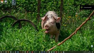 Running Gran Turismo 2 (PS1) from desktop on PC